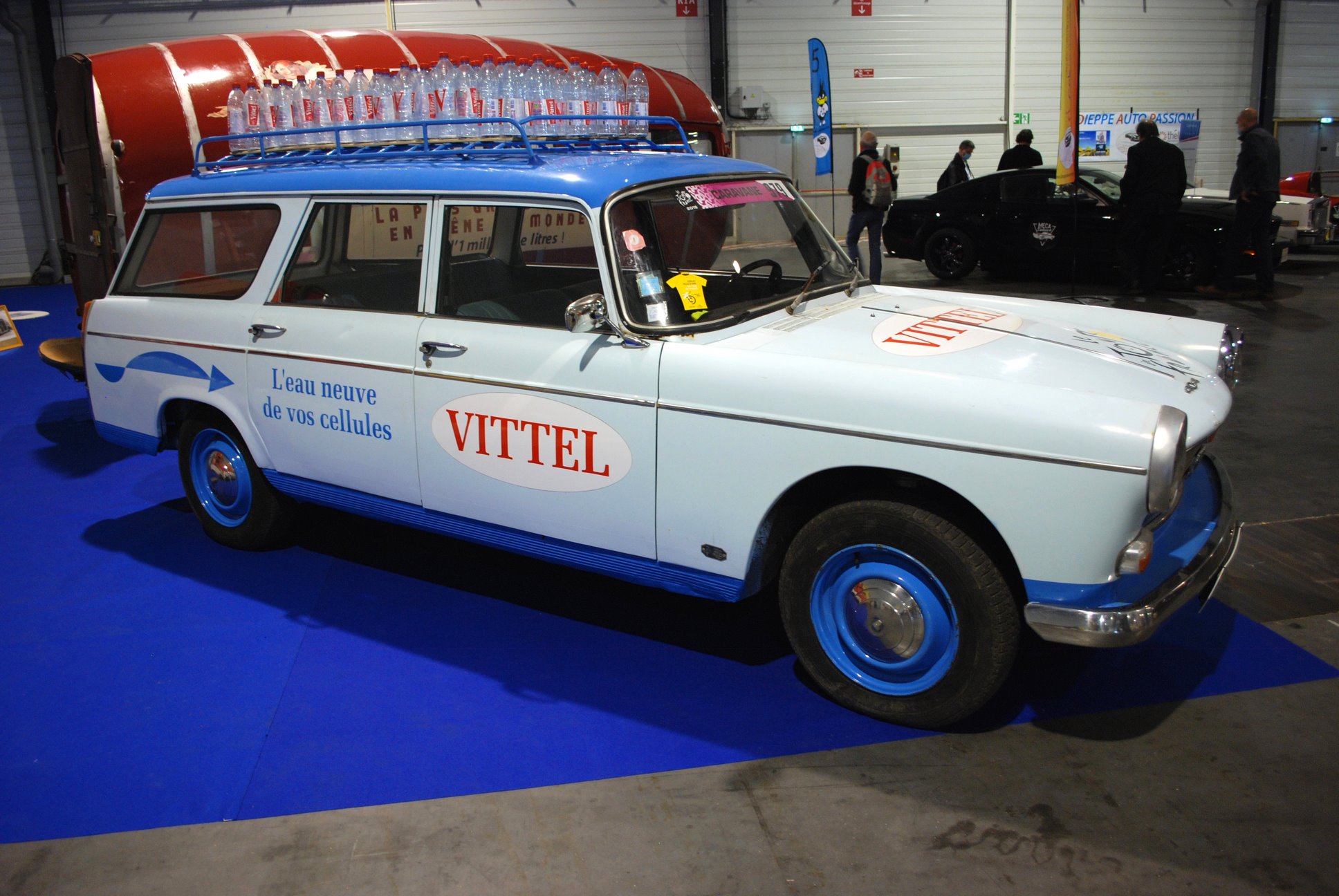 DSC_9475 (Copier).JPG
