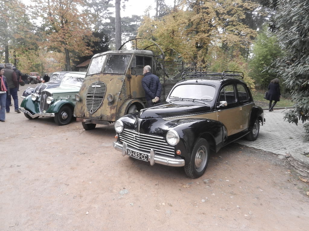 DSCN1237.JPG