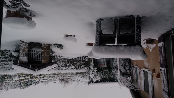 S20211129_074322.jpg
