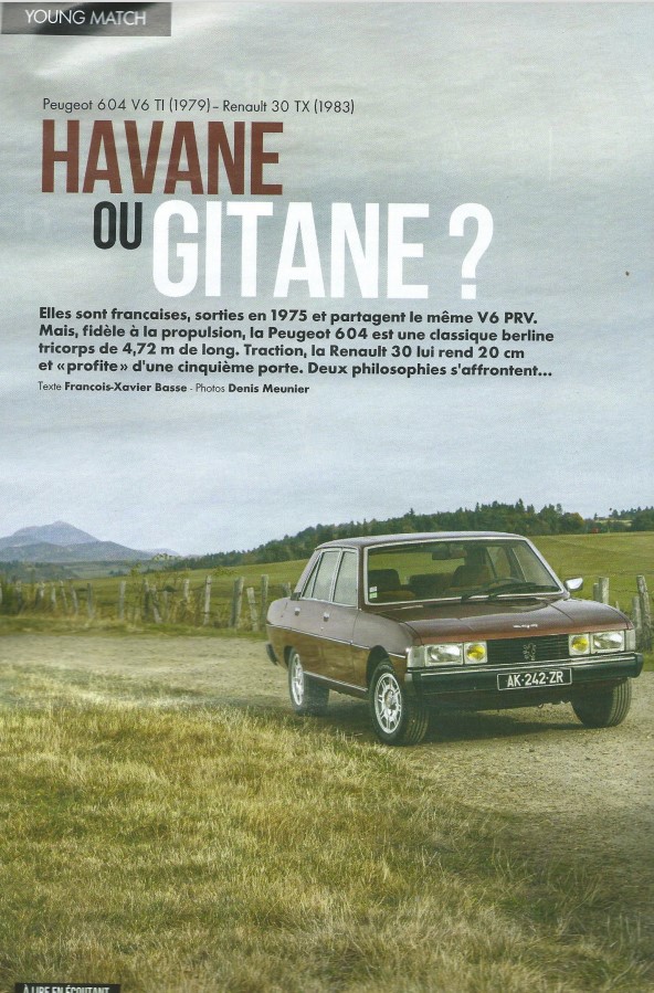 P1.jpg