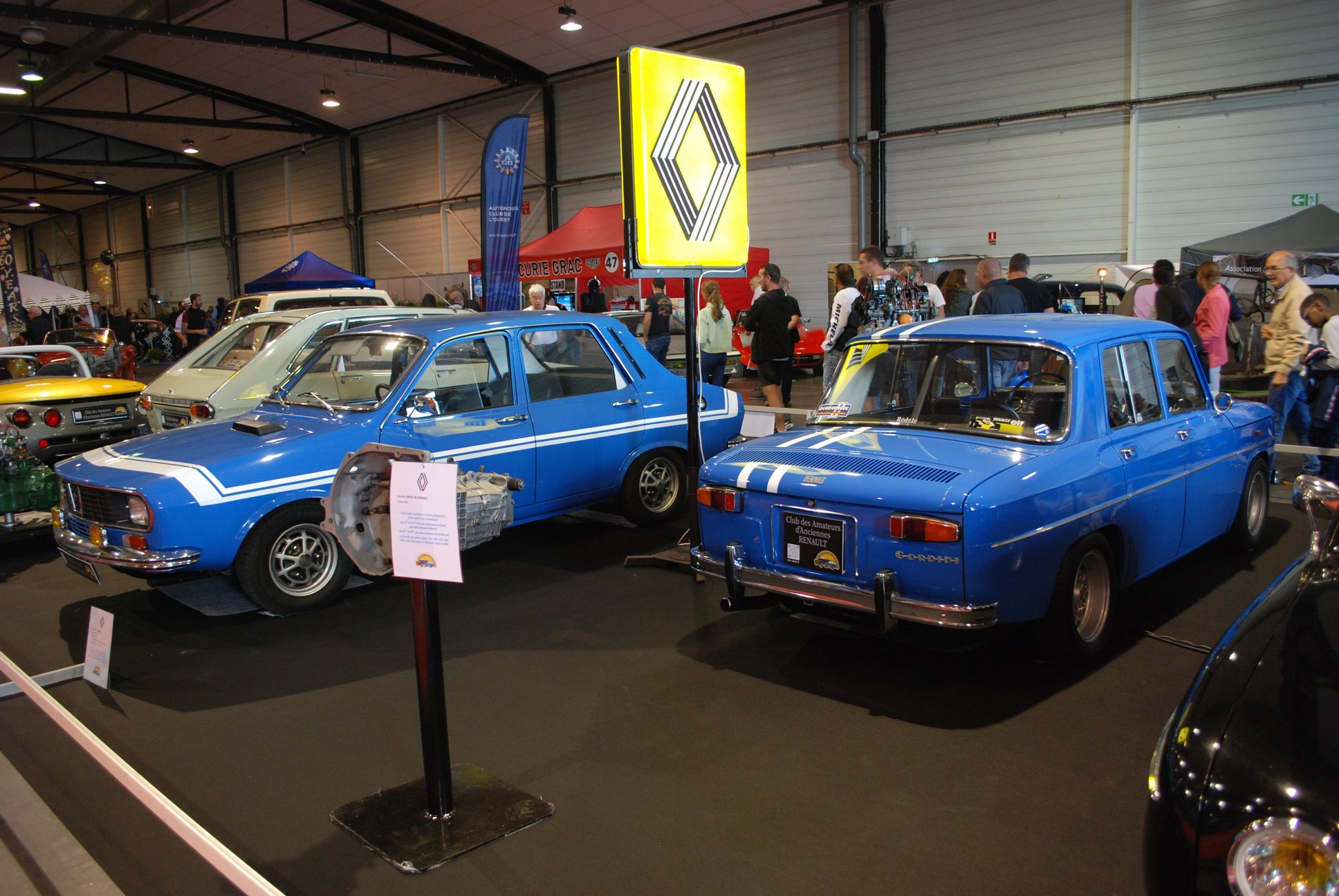 DSC_0680 (Copier).JPG